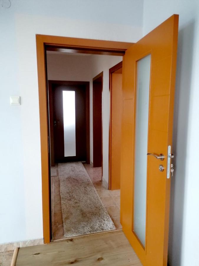 Apartment Daiv 萨帕雷瓦巴尼亚 外观 照片