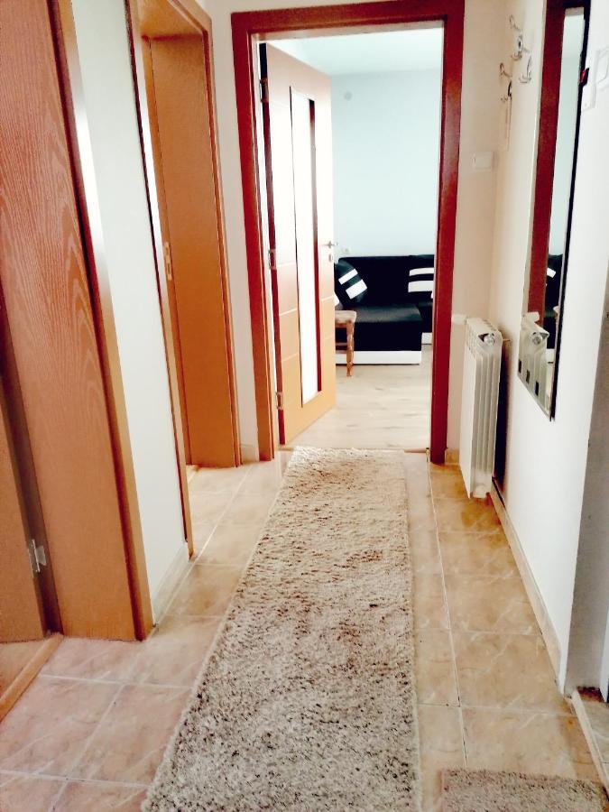 Apartment Daiv 萨帕雷瓦巴尼亚 外观 照片